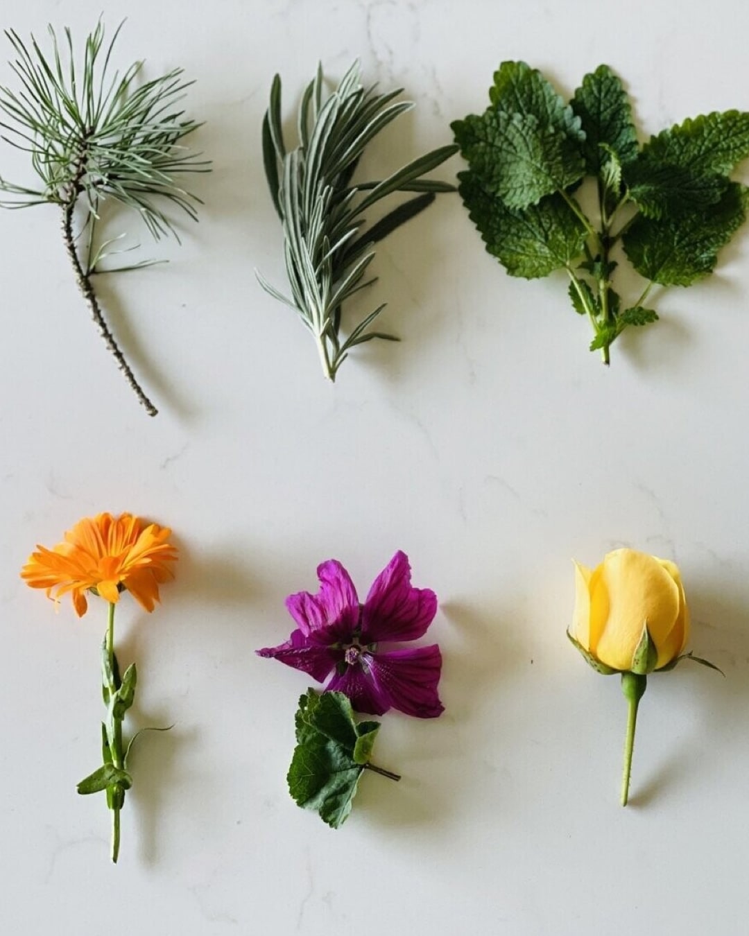 Essential Spa Kit - immagine 3