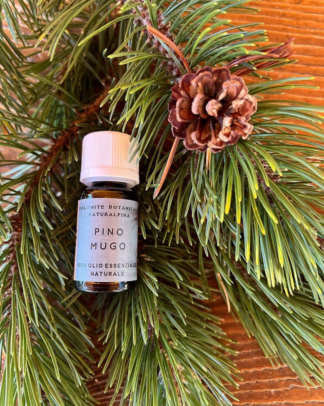 Olio essenziale di Pino mugo - immagine 2