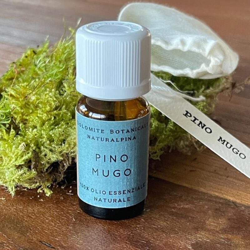Olio essenziale di Pino mugo