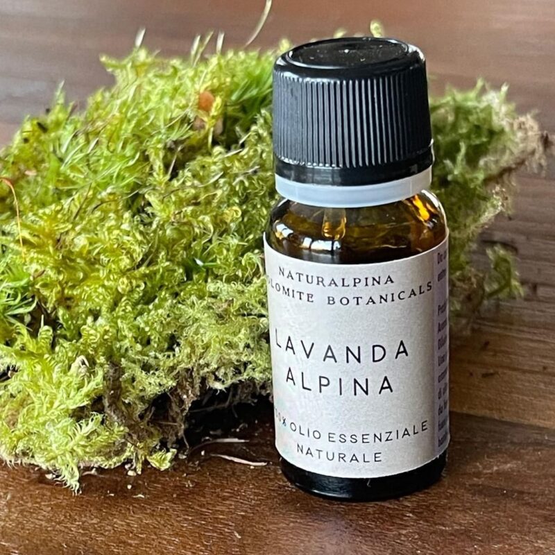Olio essenziale di Lavanda alpina (10ml)