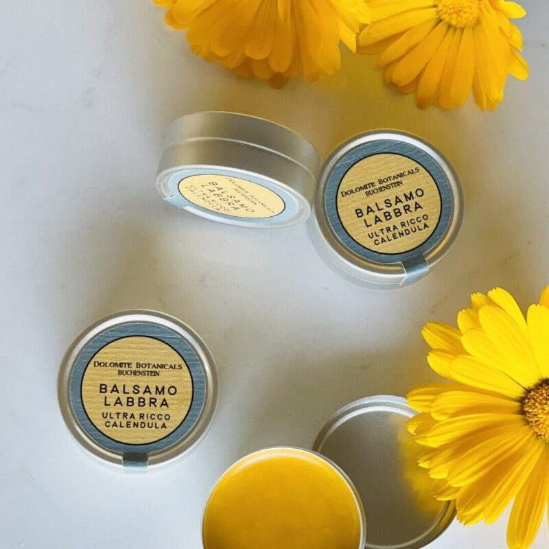 Balsamo labbra (vaschetta)