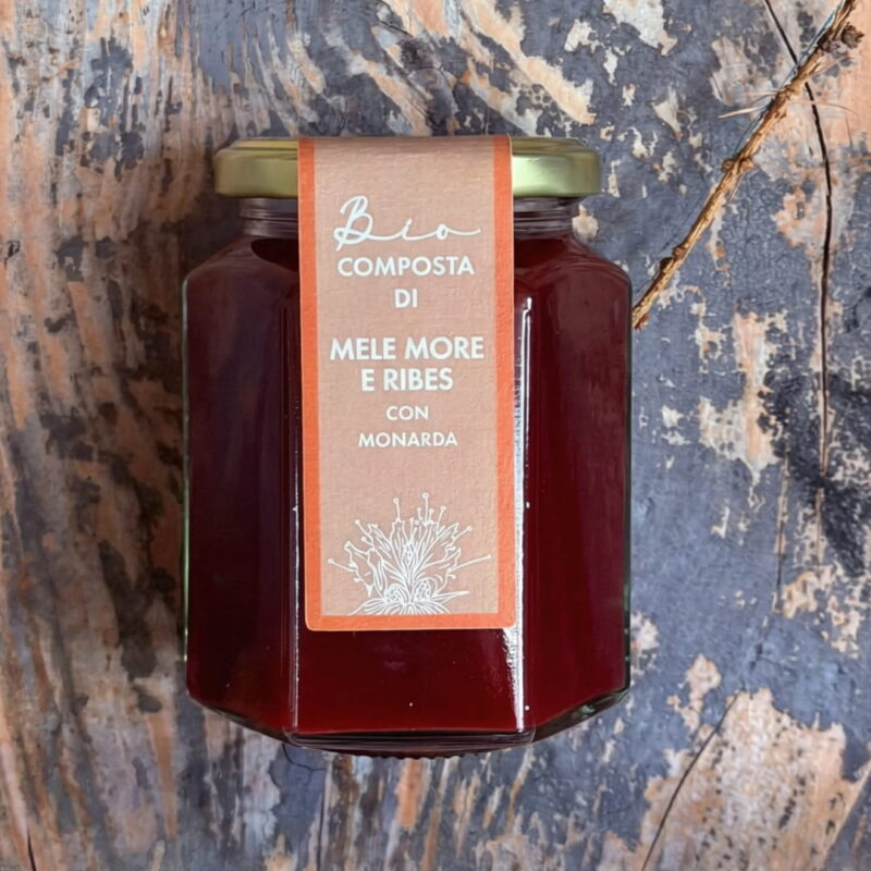 Composta di Lamponi Mele e Ribes con Sambuco