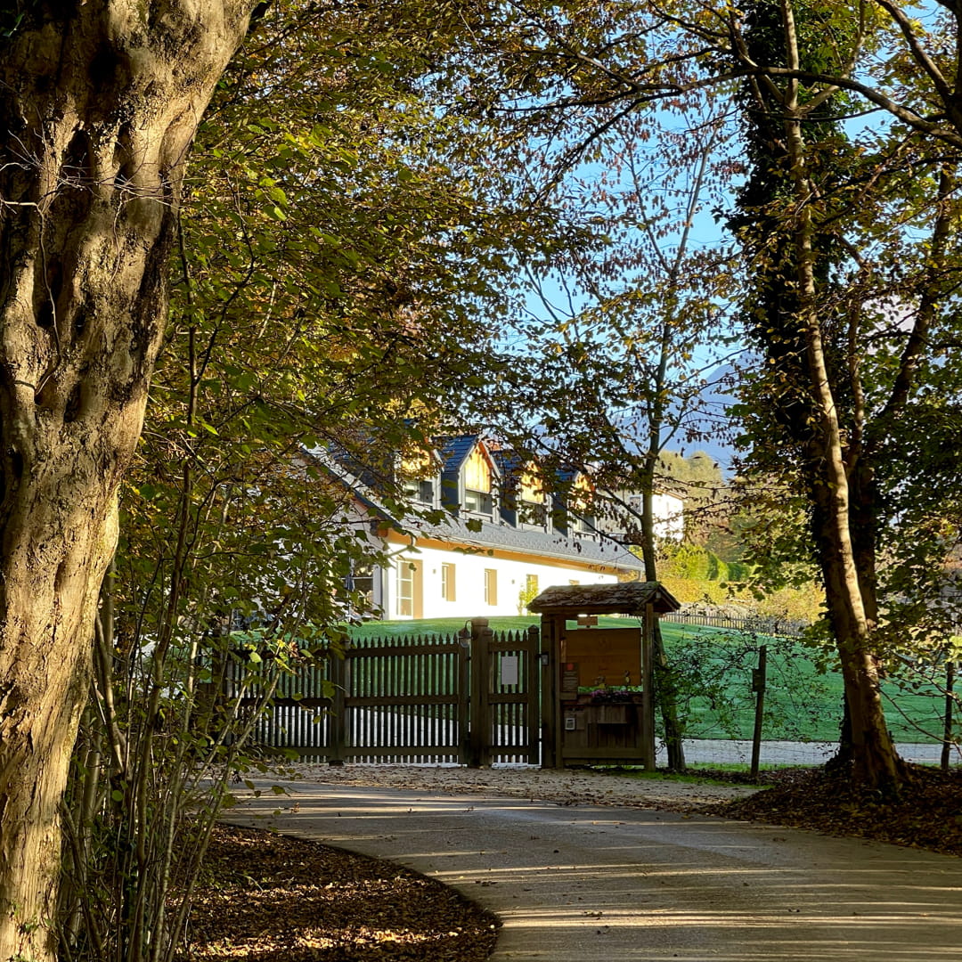 FAVOLERIA: IL GIARDINO SENSORIALE - immagine 2