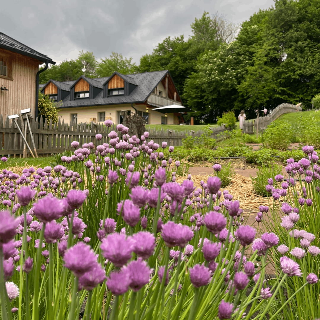 FAVOLERIA: IL GIARDINO SENSORIALE - immagine 4