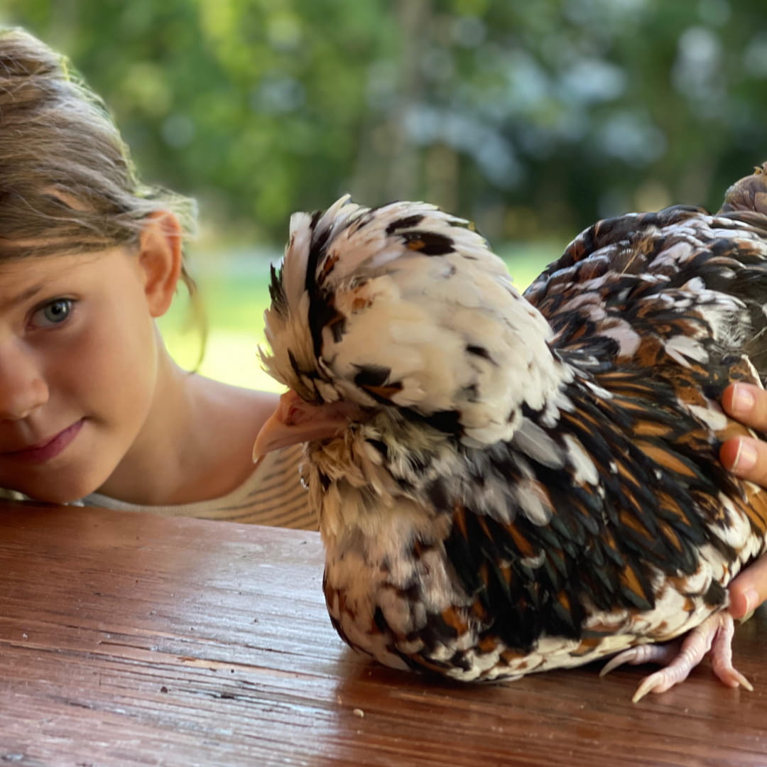 FAVOLERIA: IL GIARDINO SENSORIALE