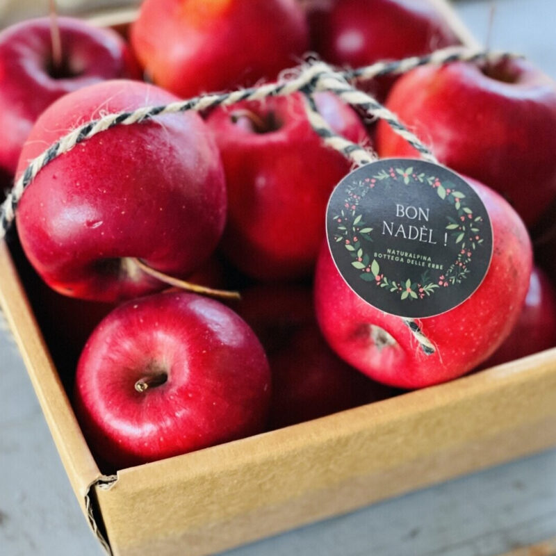 Vassoio da 12 - Inored story