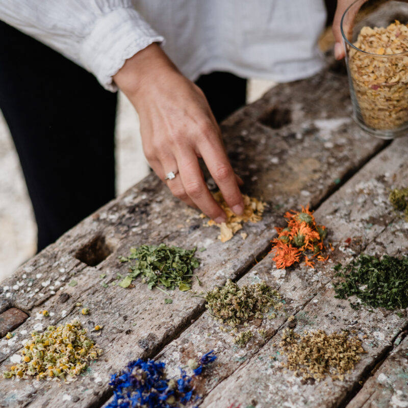 L’OFFICINA DEGLI INFUSI E L’ARTE DELL’ERBARIO