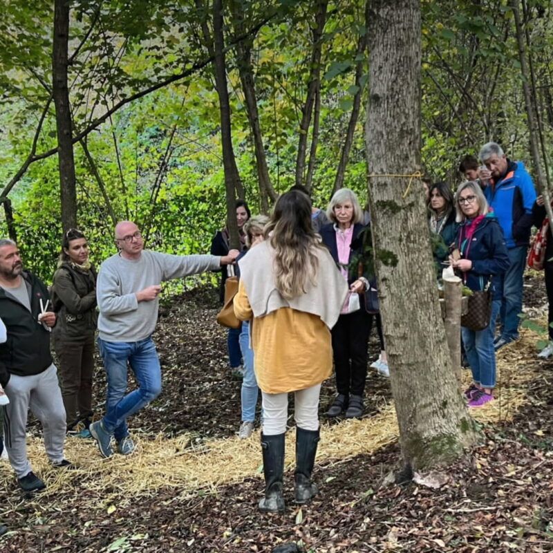 CORPORATE DETOX E TEAM BUILDING