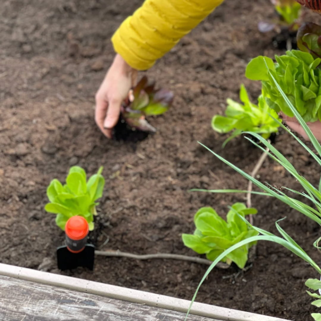 DIDATTICA PER LE SCUOLE - immagine 3