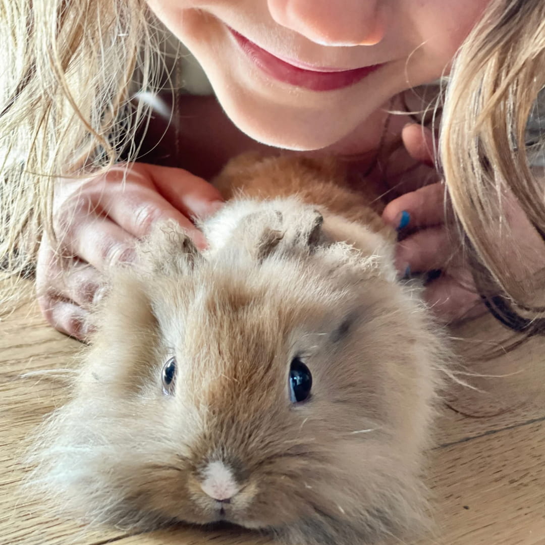 DIDATTICA PER LE SCUOLE - immagine 4