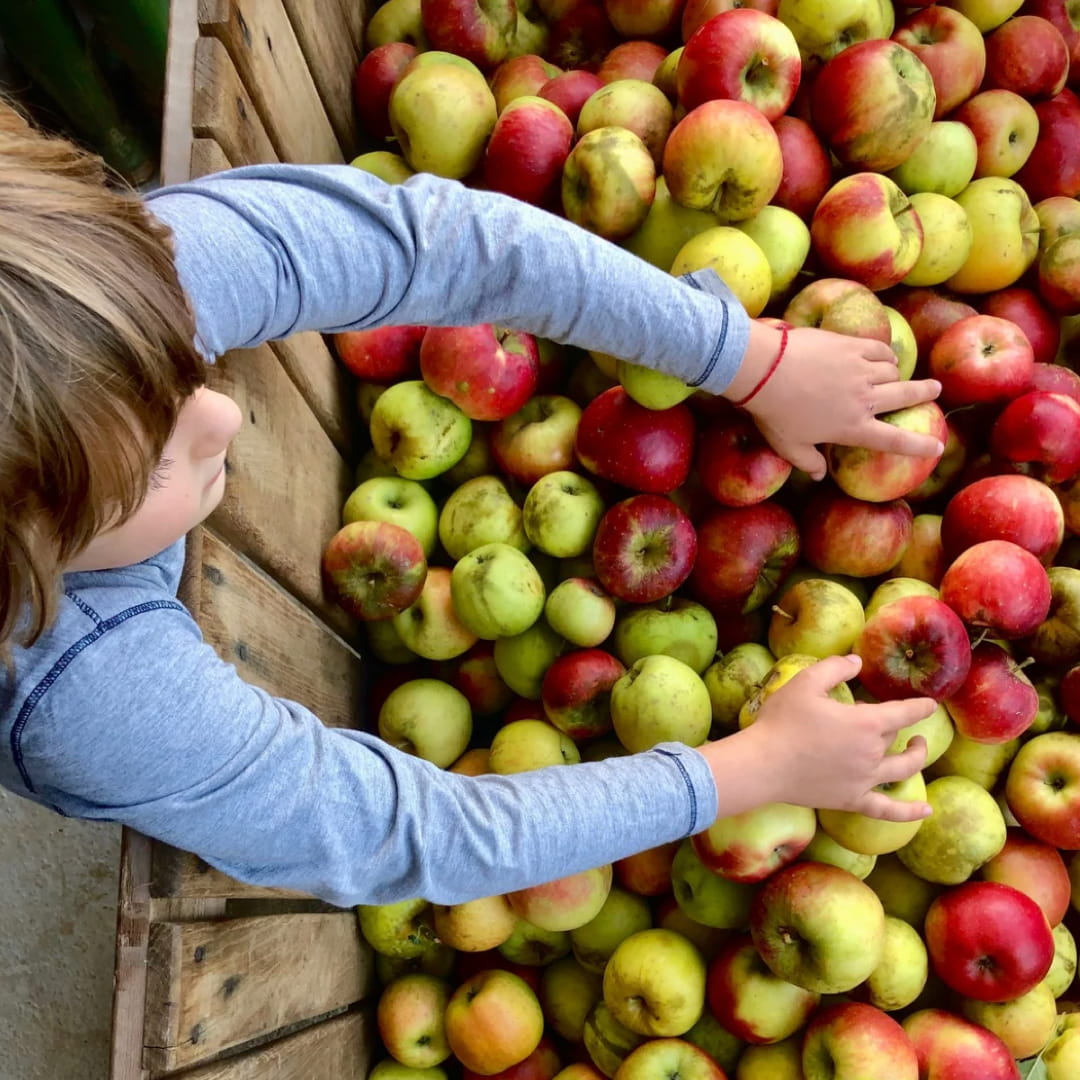 DIDATTICA PER LE SCUOLE - immagine 7