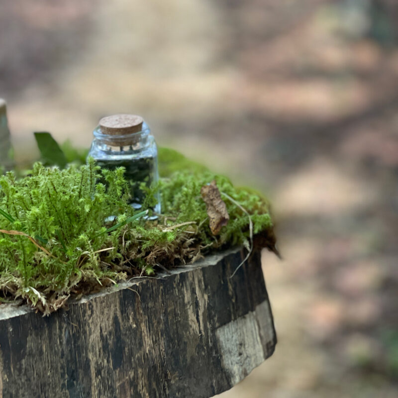 FOREST BATHING OLFATTIVO CON AROMAROLL