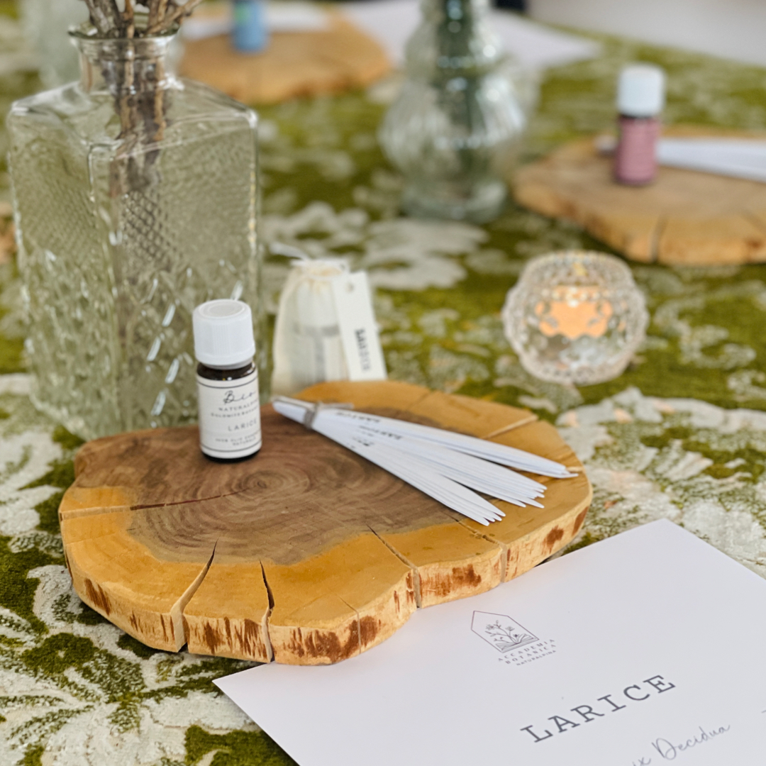 FOREST BATHING OLFATTIVO CON AROMAROLL - immagine 2