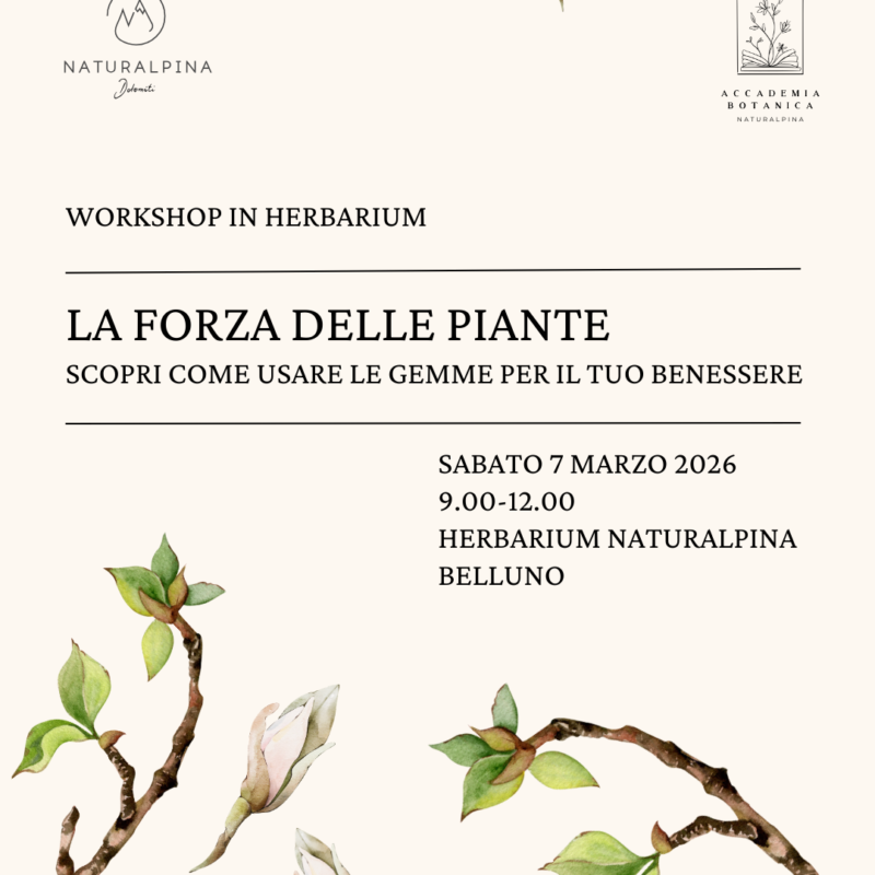 LA FORZA DELLE PIANTE