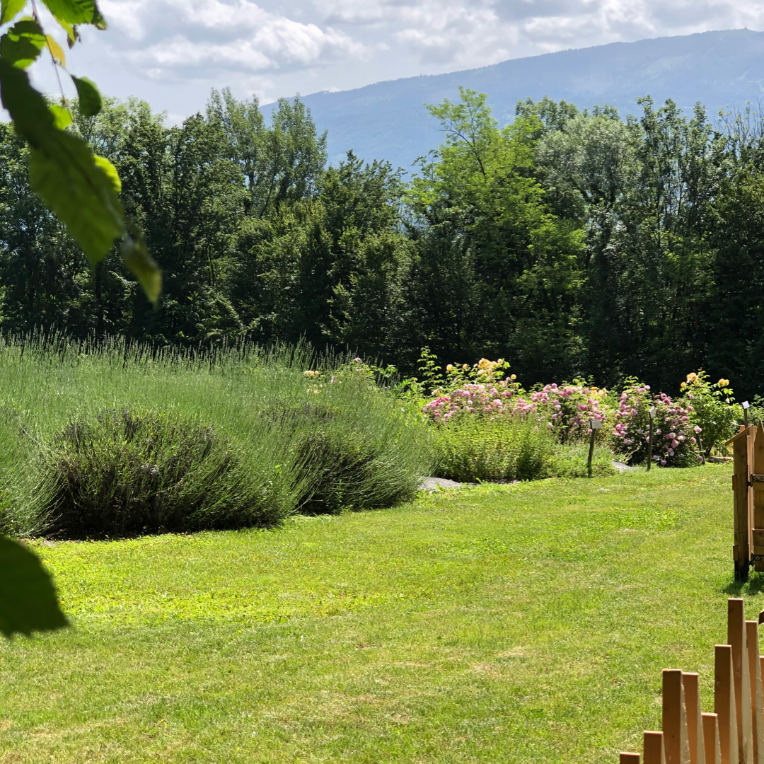 TOUR DEI GIARDINI E SACCHETTO DEGLI AROMI