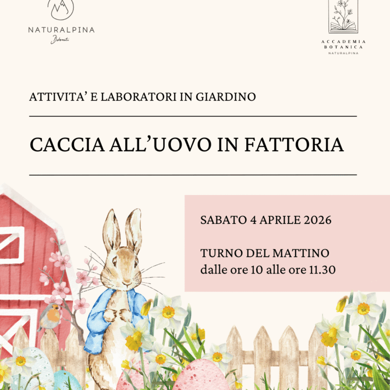 CACCIA ALL'UOVO IN FATTORIA