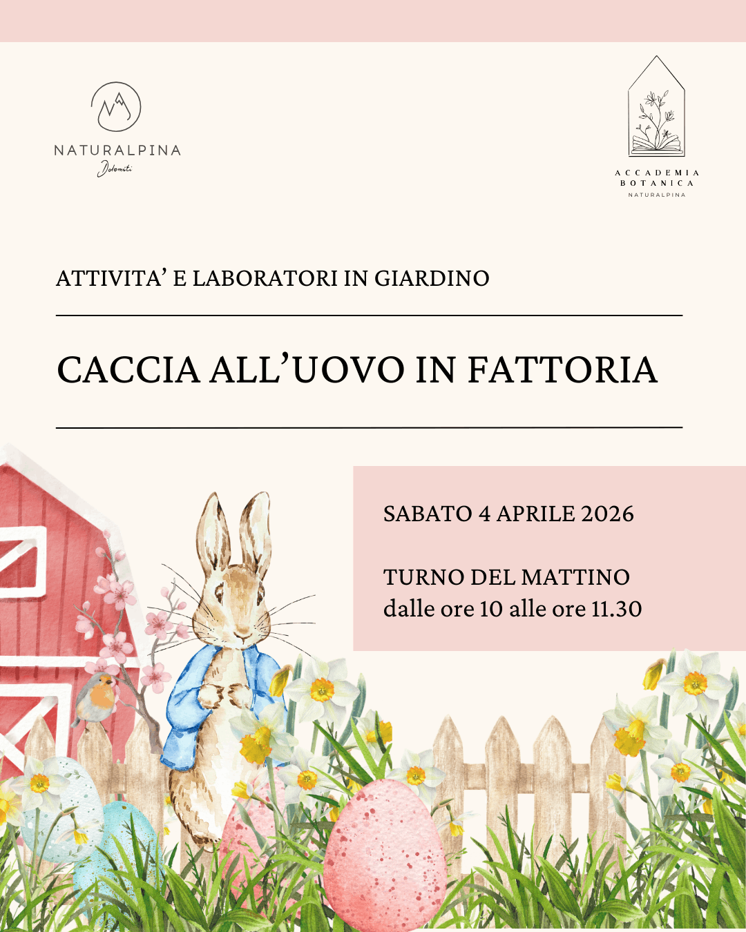 CACCIA ALL'UOVO IN FATTORIA