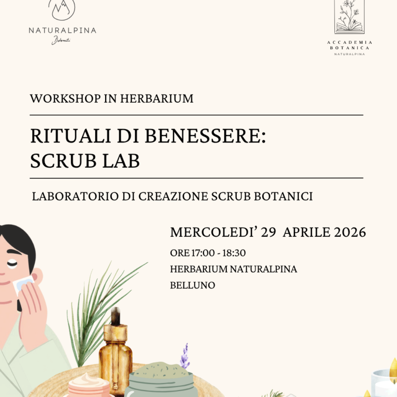 RITUALI DI BENESSERE: SCRUB LAB ultimi posti disponibili