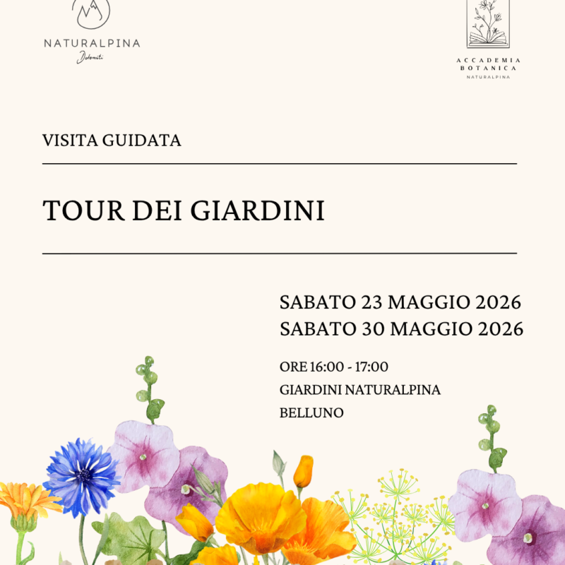 TOUR DEI GIARDINI e sacchetto degli aromi - Sabato 30 maggio 2026