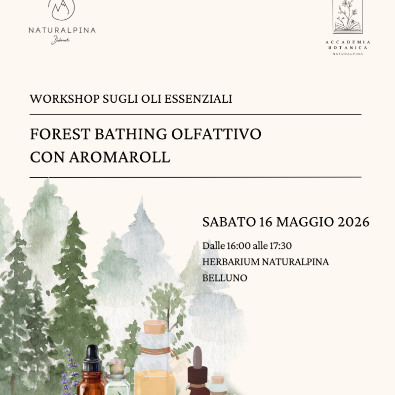 WORKSHOP SUGLI OLI ESSENZIALI Forest Bathing Olfattivo con Aromaroll