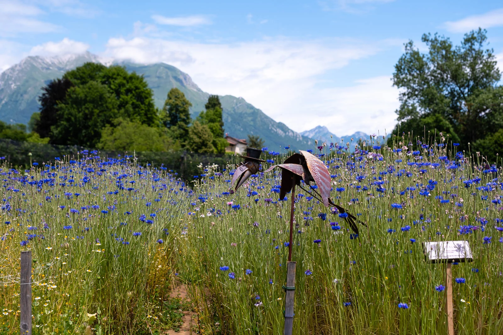Naturalpina Dolomiti Belluno Veneto Secrets 50