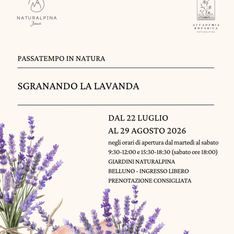 FARE FILO’ CON LA LAVANDA