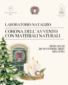 Workshop corona avvento 7 Workshop corona avvento 7