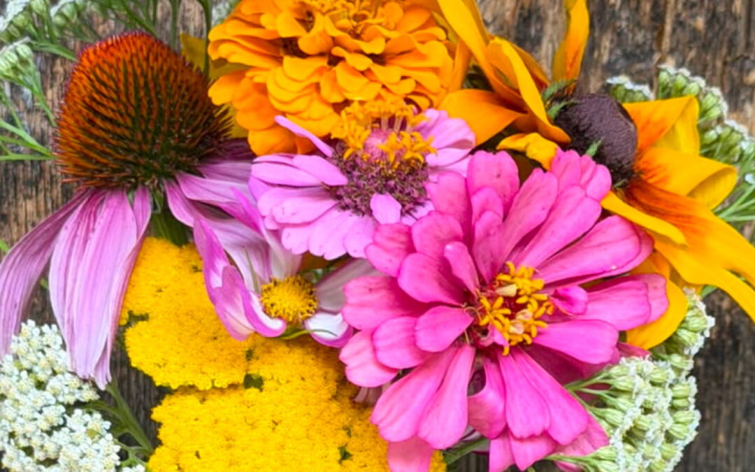 Flower Farm d’Estate: Fiori Recisi e Bouquet Naturali