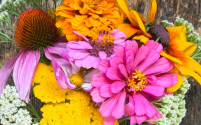 Flower Farm d’Estate: Fiori Recisi e Bouquet Naturali