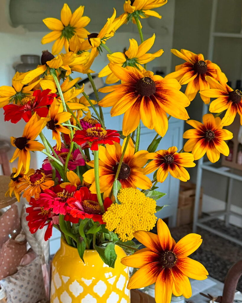 fiore 7