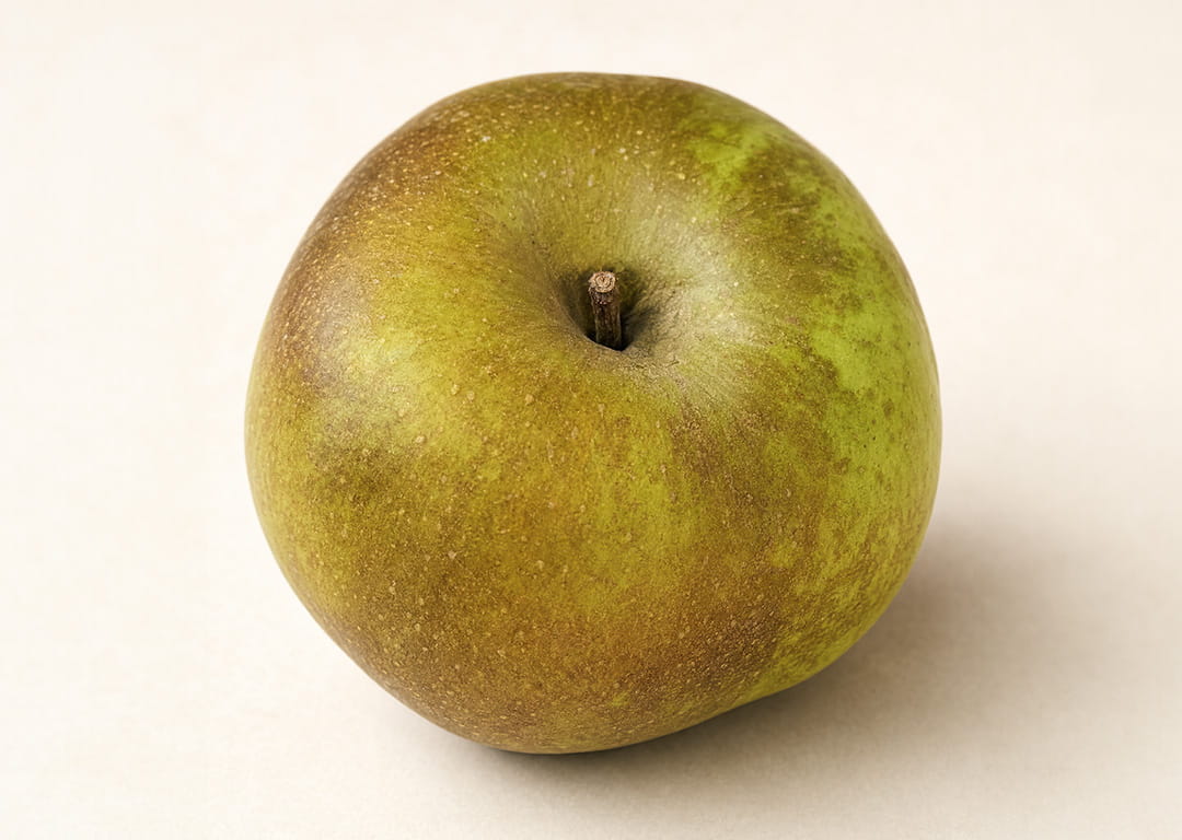 BOSKOOP
