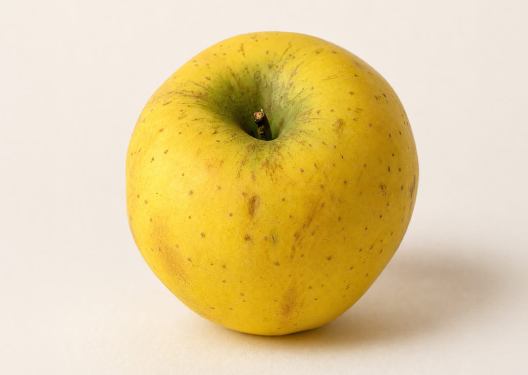 POM LIMON