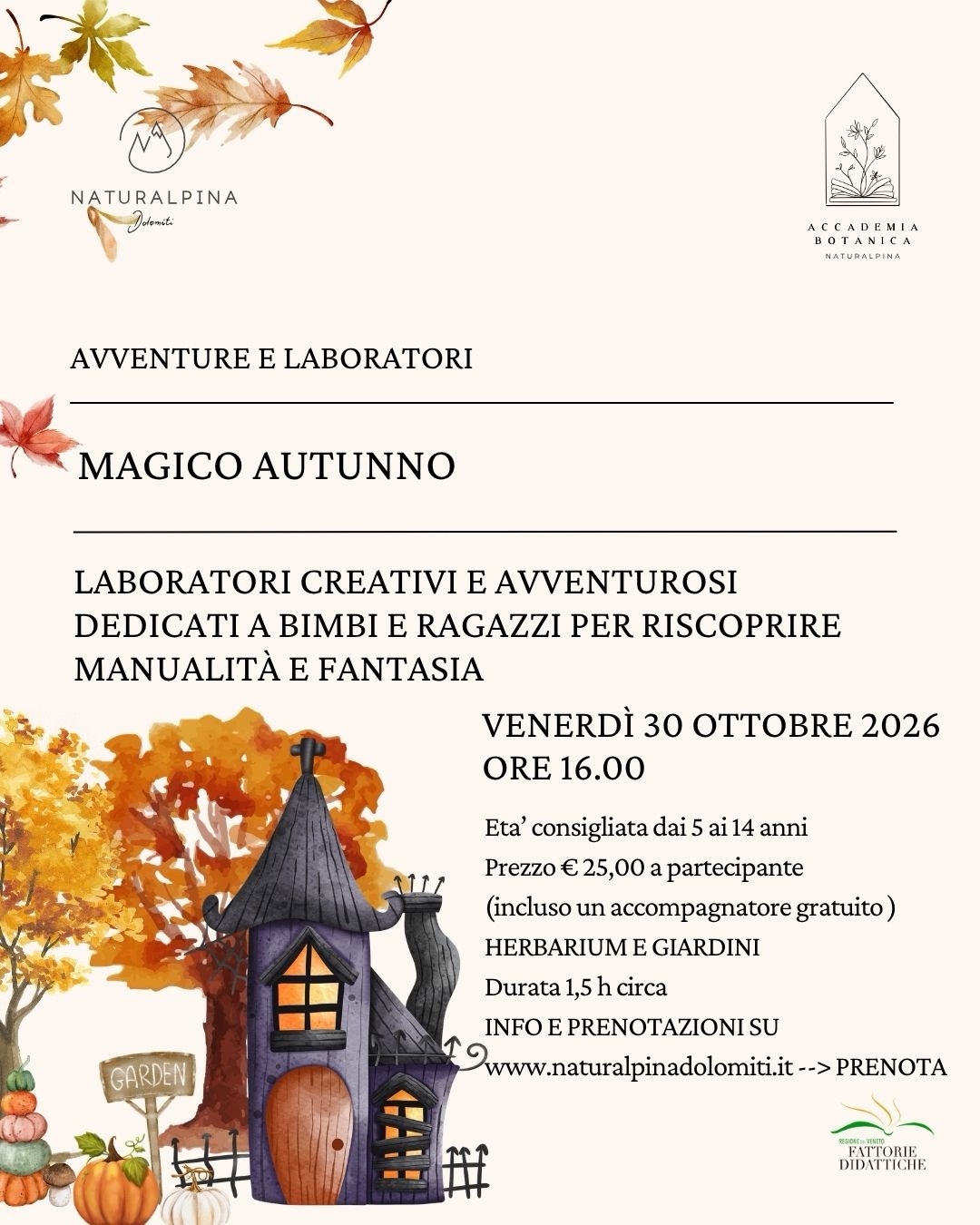 MAGICO AUTUNNO 1 MAGICO AUTUNNO